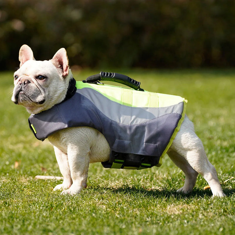 Summer Dog Life Vest