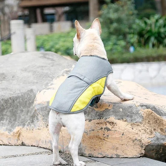 Dog Cooling Vest with Sun Protection - Stay Safe & Comfortable in the Heat