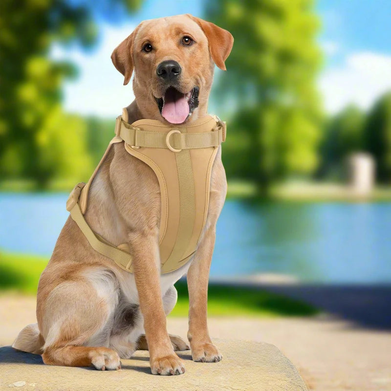 Ultra-Soft Dog Harness - No pull Control  D-Ring