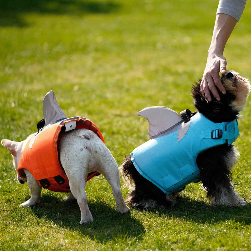 Reflective Dog Life Jacket, Stay Safe & Cool