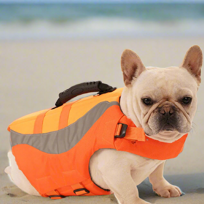 Summer Dog Life Vest