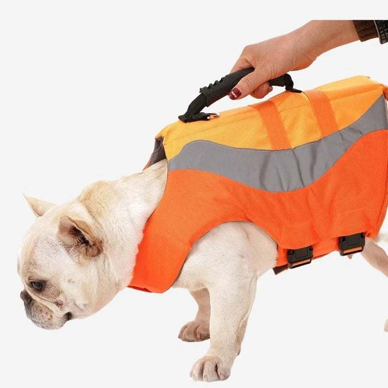 Summer Dog Life Vest