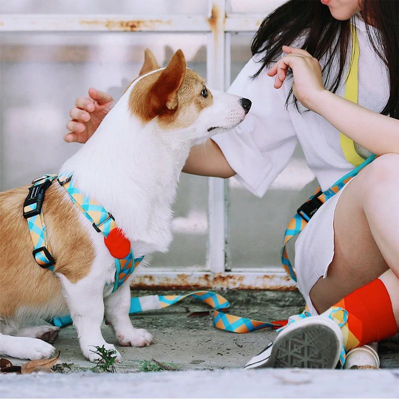 Escape-Proof Dog Harness, Comfort & Safety for Every Adventure