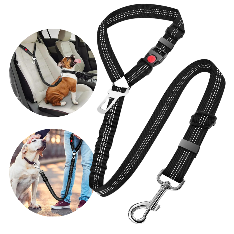 Dog Car Belt with 3-in-1 Design with Built-in Leash