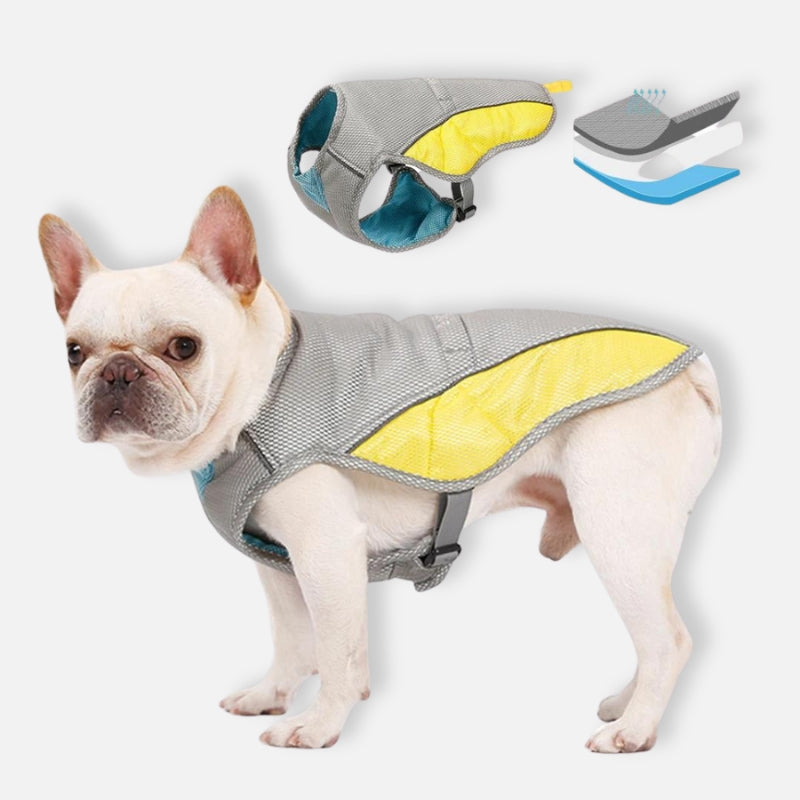 Dog Cooling Vest with Sun Protection - Stay Safe & Comfortable in the Heat