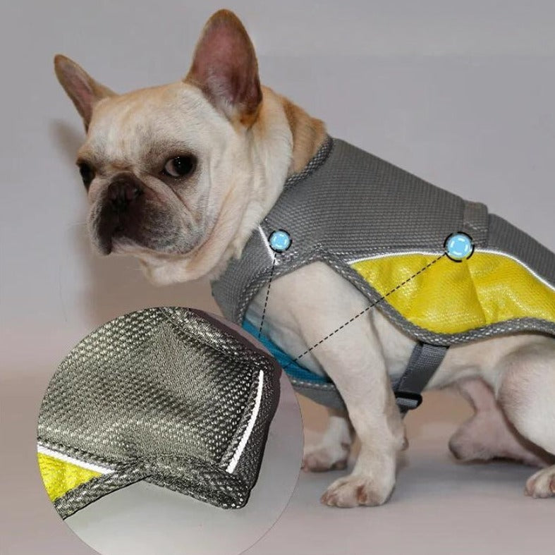 Dog Cooling Vest with Sun Protection - Stay Safe & Comfortable in the Heat