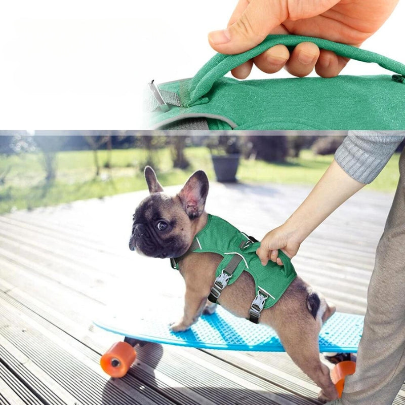 Comfort-Fit Cloud Harness for Long-Bodied Dogs