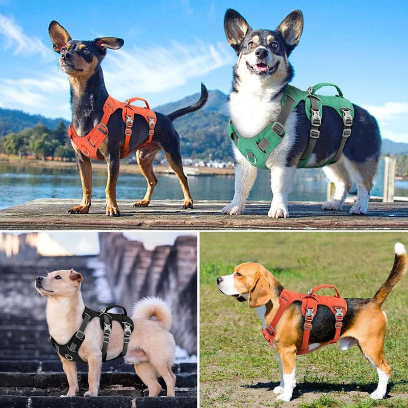 Comfort-Fit Cloud Harness for Long-Bodied Dogs