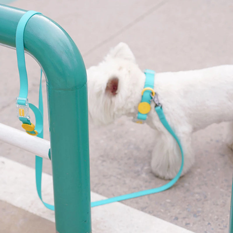 All-Weather Waterproof Dog Leash