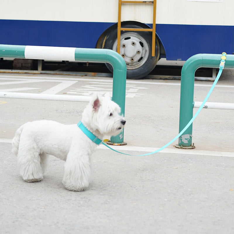 All-Weather Waterproof Dog Leash