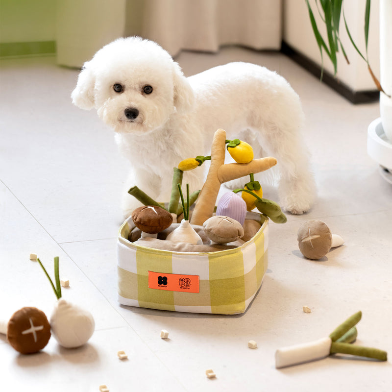 Snuffle Dog Toy,  Basket of Veggies