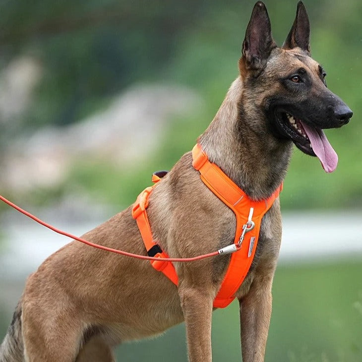 The Comfort-Grip Dog Harness - Back Handle for Quick Control