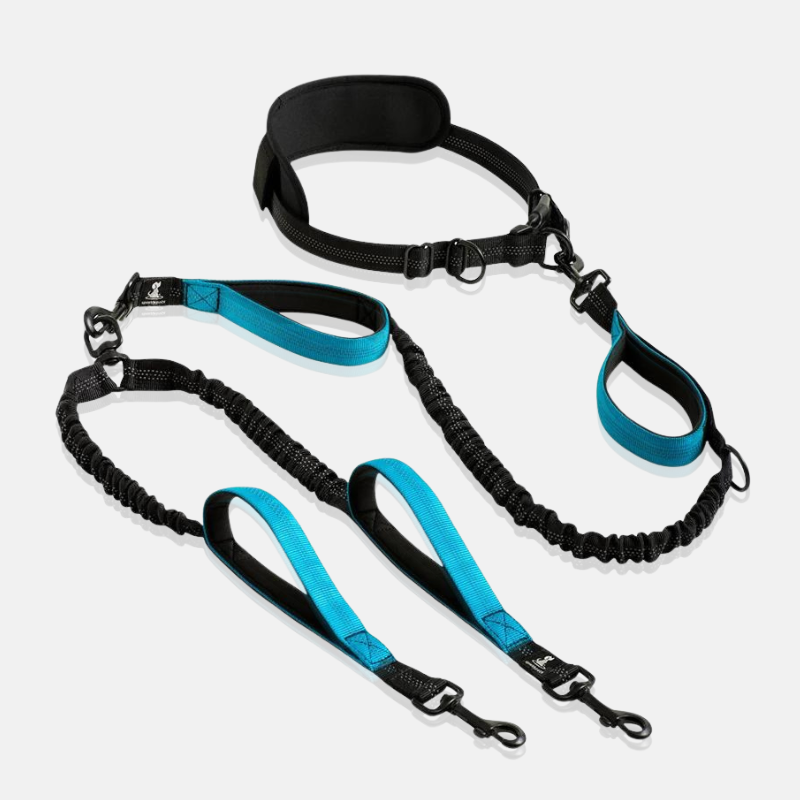 Dg leash for two dogs blue