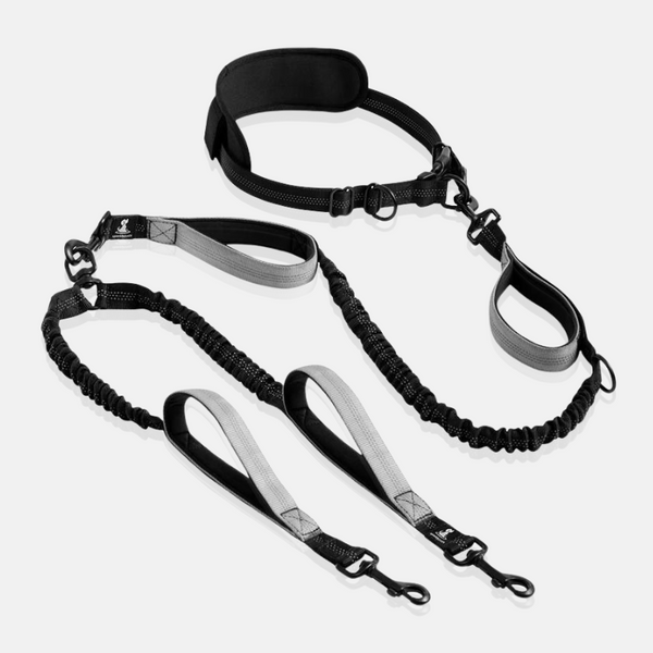 Dg leash for two dogs grey