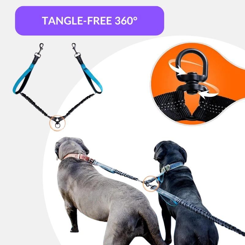 Double Dog Leash - Hands Free & Tangle Free