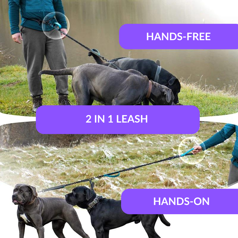 Double Dog Leash - Hands Free & Tangle Free